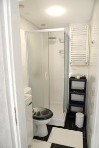 a bathroom with a toilet with a glass shower at Apartment Krins in Novi Sad