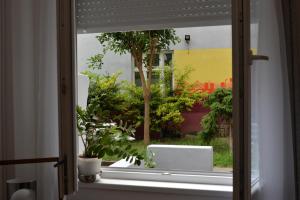 Vrt ispred objekta Apartment Krins