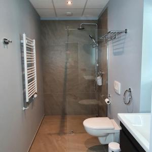 a bathroom with a shower and a toilet and a sink at Luxury Loft Apartment Akureyri in Akureyri