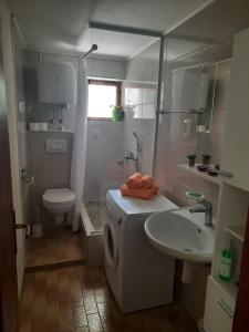 Koupelna v ubytování Apartment Ema