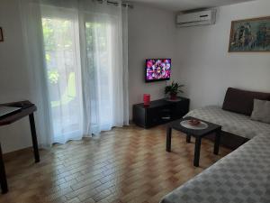 TV a/nebo společenská místnost v ubytování Apartment Ema
