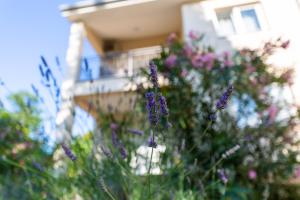 Zahrada ubytování Apartment Nada 1