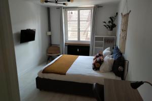 sypialnia z łóżkiem i oknem w obiekcie Appartement Spacieux et Cosy - Strasbourg Centre w Strasburgu