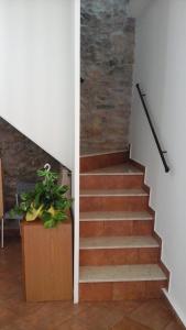 klatka schodowa z doniczką i klatką schodową w obiekcie Casa Vacanza Da Sofì w mieście Cerda