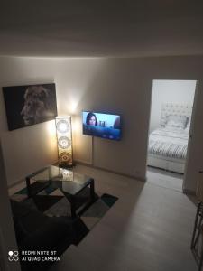 uma sala de estar com uma cama e uma televisão na parede em Charmant appartement design em Blois