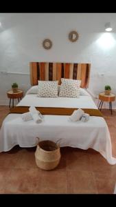 En eller flere senger på et rom på El Pez Naranja