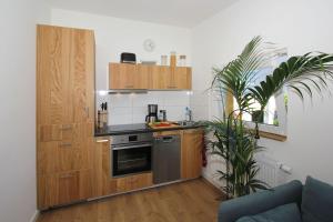 a kitchen with wooden cabinets and a stove at F-1093 Villa Elise Ferienwohnung Nr 01 in Göhren