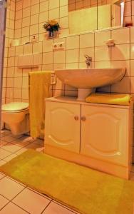bagno con lavandino e servizi igienici di Apartment am Großen Garten Dresden a Dresda