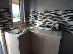 a kitchen with a sink and a counter top at Приватна Садиба "У Оксани" in Pulʼmo +48 photos
