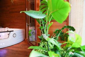 Fotografie z fotogalerie ubytování Apartmán Wellness Sedmihorky v Turnově