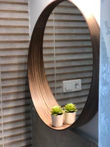 two plants on a shelf in front of a mirror at Cseri Porta Kisház in Szatta