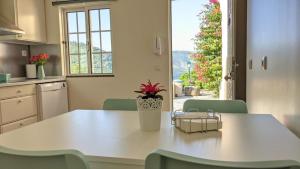 a kitchen with a white table with a plant on it at Quinta da Galeira in Pinhão +49 photos
