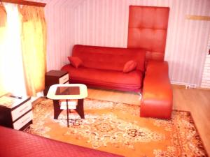 トゥーラにあるGuest House on Levanevskogo 20のリビングルーム(赤いソファ、ラグ付)