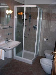 a bathroom with a shower and a sink at Park Hotel Miramonti in San Martino di Castrozza