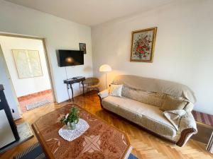 TV a/nebo společenská místnost v ubytování Apartmani Leonarda