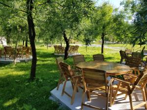 a picnic table in a grassy area next to a tree at Villas Jezerca in Valbonë