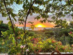 un jardin avec un coucher de soleil en arrière-plan dans l'établissement Villa Nature caraïbe lodge, vue mer, piscine privée, à Deshaies