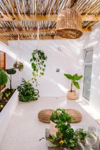 um quarto com vasos de plantas e um tecto em Skoon Seaside Accommodation em Skoenmakerskop