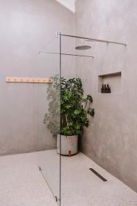uma cabina de duche em vidro com um vaso de plantas num quarto em Skoon Seaside Accommodation em Skoenmakerskop