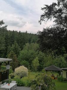einen Garten mit einem Tisch, Stühlen und Bäumen in der Unterkunft Ferienwohnung Waldblick mit Balkon in Sebnitz