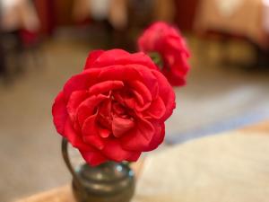 two red flowers in a vase on a table at Kreuzerhof Hotel Garni in Rothenburg ob der Tauber +29 photos