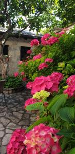 Un mazzo di fiori rosa in un giardino di Villa Fortuna a Mostar