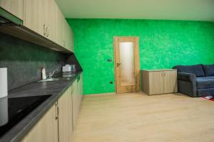 Kuchyňa alebo kuchynka v ubytovaní Apartmány pod Jeřábem, Šanov 67, Červená Voda