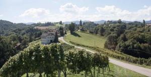 a house on a hill next to a road at Winzer Appartements Kogler in Leutschach