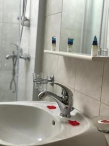 uma casa de banho com um lavatório e um chuveiro com escovas de dentes em Flora Alpina em Azuga
