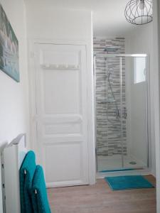 a bathroom with a shower and a glass door at ESCALE À ÉPERNAY BORDS DE MARNE APPT 2/4 PERS in Épernay