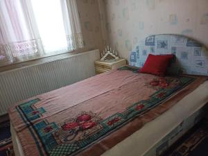 a small bedroom with a bed with a red pillow at Kuca za odmor RADMILA - Rogljevacke pivnice in Rogljevo
