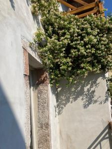 a planter on the side of a building with flowers at ON the RAIL by Arcotrilogy-Homes in Arco