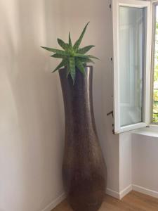 eine große braune Vase mit einer Pflanze darin in der Unterkunft ON the RAIL by Arcotrilogy-Homes in Arco