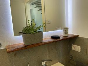 a bathroom sink with a mirror and a potted plant at ON the RAIL by Arcotrilogy-Homes in Arco