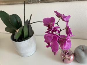 a white vase with purple flowers and a plant at ON the RAIL by Arcotrilogy-Homes in Arco