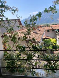 a view of a city from behind a tree at ON the RAIL by Arcotrilogy-Homes in Arco