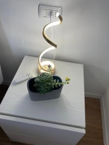 a lamp on a table with a plant on it at ON the RAIL by Arcotrilogy-Homes in Arco