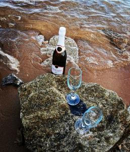 a bottle of champagne and two glasses on the beach at Petra's garden in Kraj