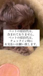 Imagem da galeria de THE LANG HOTEL Hakata em Fukuoka