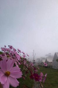 豪华帐篷周边自然景观