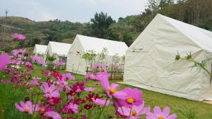 Lys I dalen resort&camping外面的花园