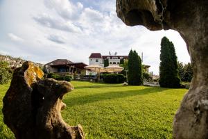 Zahrada ubytování Hotel Clasic