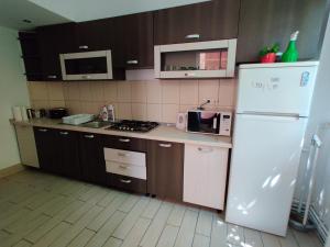 Gallery image of Satu Mare Apartments in Satu Mare