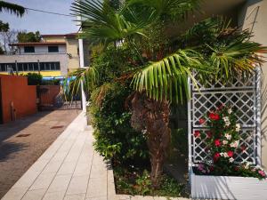 um portão branco com flores e uma palmeira em Villa Zen 2 em Pádua