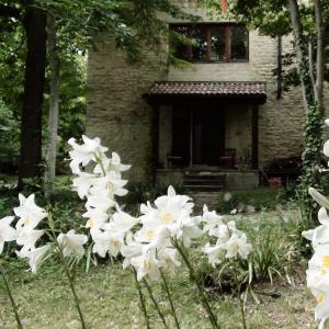 Santa Vittoria in MatenanoにあるLa Casitaのギャラリーの写真