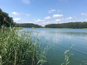 Príroda v okolí dovolenkového domu