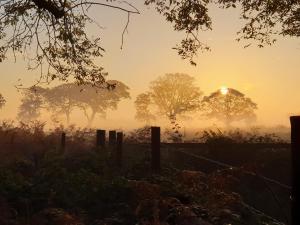 a sunrise in a field with a fence and trees at Argyll House Bed and Breakfast in Westleton