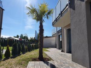 a palm tree on a sidewalk next to a house at Apartamenty Mieszko Rowy in Rowy