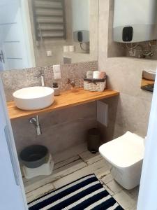a bathroom with a sink and a toilet at Apartament Piasek i Morze in Rowy