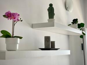 Fotografie z fotogalerie ubytování Apartamentos Anjomacar B v destinaci Teguise